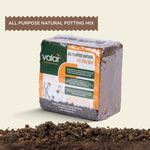 Organic Potting Soil 1 kg (Makes 4Kgs/5 litres)