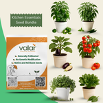 Indian Kitchen Essentials (Tomato, Coriander, Green Chili, Brinjal, Spinach, & Capsicum)