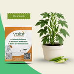 Organic Green okra Seeds