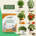 South Indian Sambar (Cluster Beans, Tomato, Okra, Brinjal, Coriander, Pumpkin)