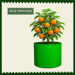 18"x18" HDPE Grow Bags for Fruits | UV-Stabilized, Reusable Planter Bags | 230 GSM