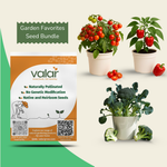 Garden Favorites Seeds Bundle – Cherry Tomato, Broccoli & Red Bell Pepper