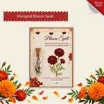 Marigold Bloom Spell Seed Kit | Eco-Friendly Corporate & Event Gifting Kit | Customisable