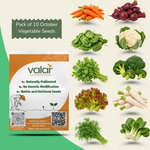 Pack of 10 October Vegetable Seeds
