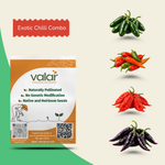 Exotic Spicy Seed Bundle
