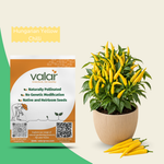 Organic Hungaraian Yellow Chilli Seeds