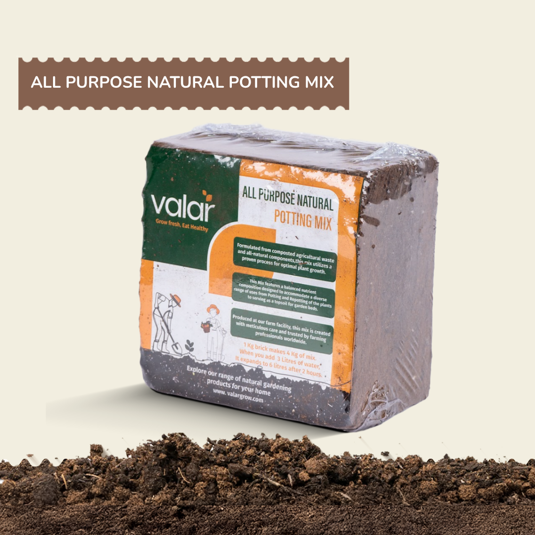 All Purpose Natural Potting Soil 5 Litres | 1 Kg makes 4 Kg