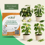 4-in-1 Gourd Garden Bundle (Ridge Gourd, Bitter Gourd, Snake Gourd, & Apple Gourd)