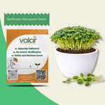 Sunflower Microgreen Seeds