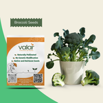 Organic Broccoli Seeds