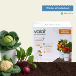 Winter Vegetable Garden Kit (Pack of 3 & 6)