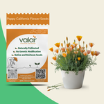 Poppy California Flower Seeds