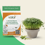 Methi Microgreen Seeds