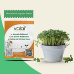 Mustard Microgreen Seeds