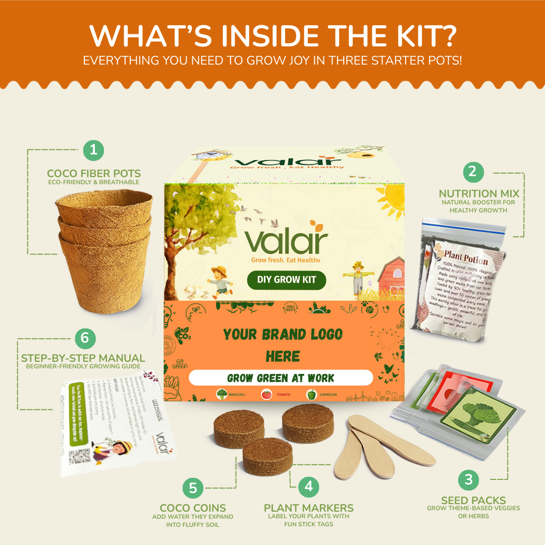 Sustainability Day Grow Kit