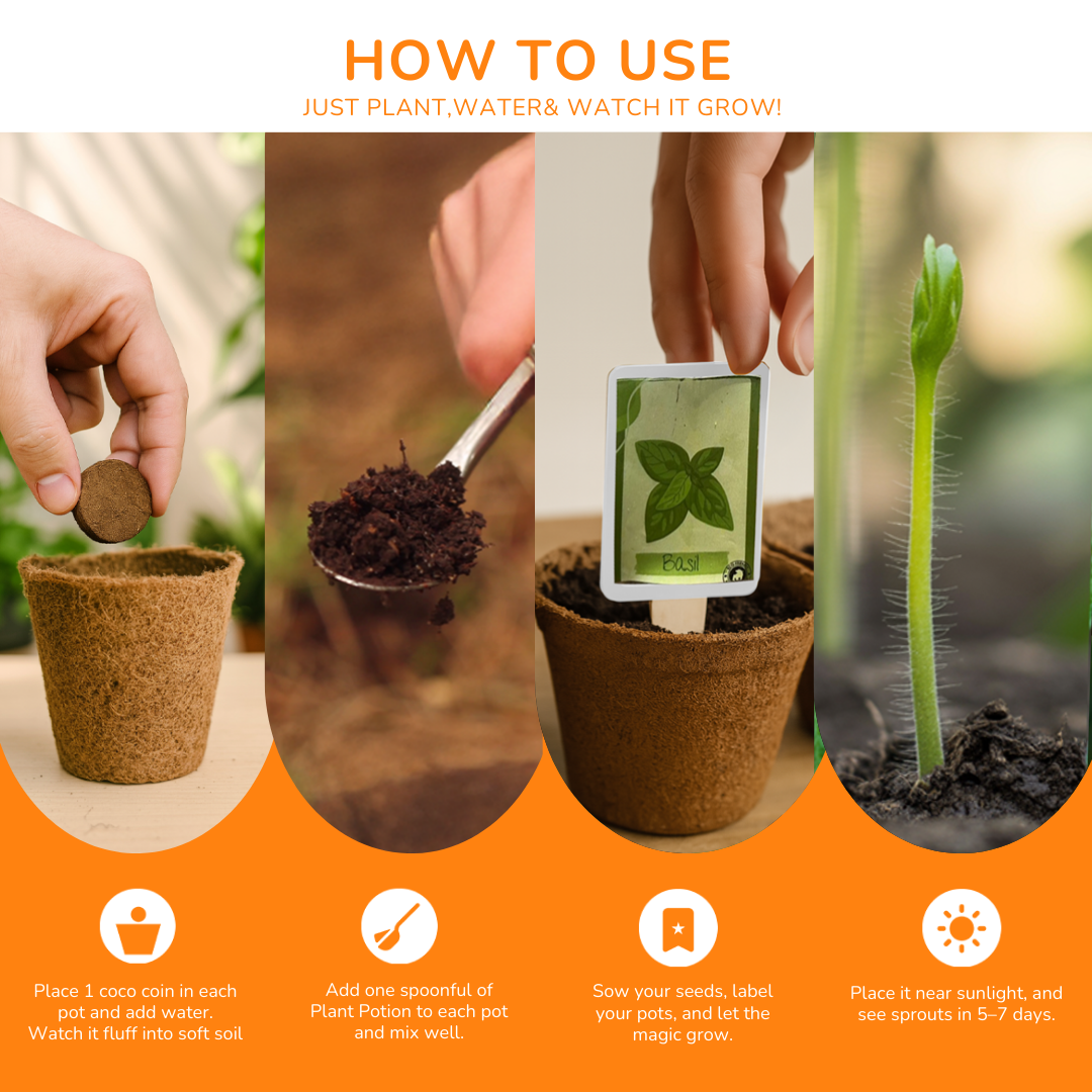 Sustainability Day Grow Kit