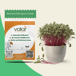 Beetroot Microgreen Seeds