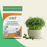 Pea Shoot Microgreen Seeds
