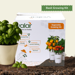 DIY Organic Basil Grow Kit