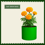 9"x9" HDPE Grow Bags for Flowers, Herbs | UV-Stabilized, Reusable Planter Bags | 230 GSM