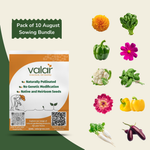 Pack of 10 August Sowing Seeds