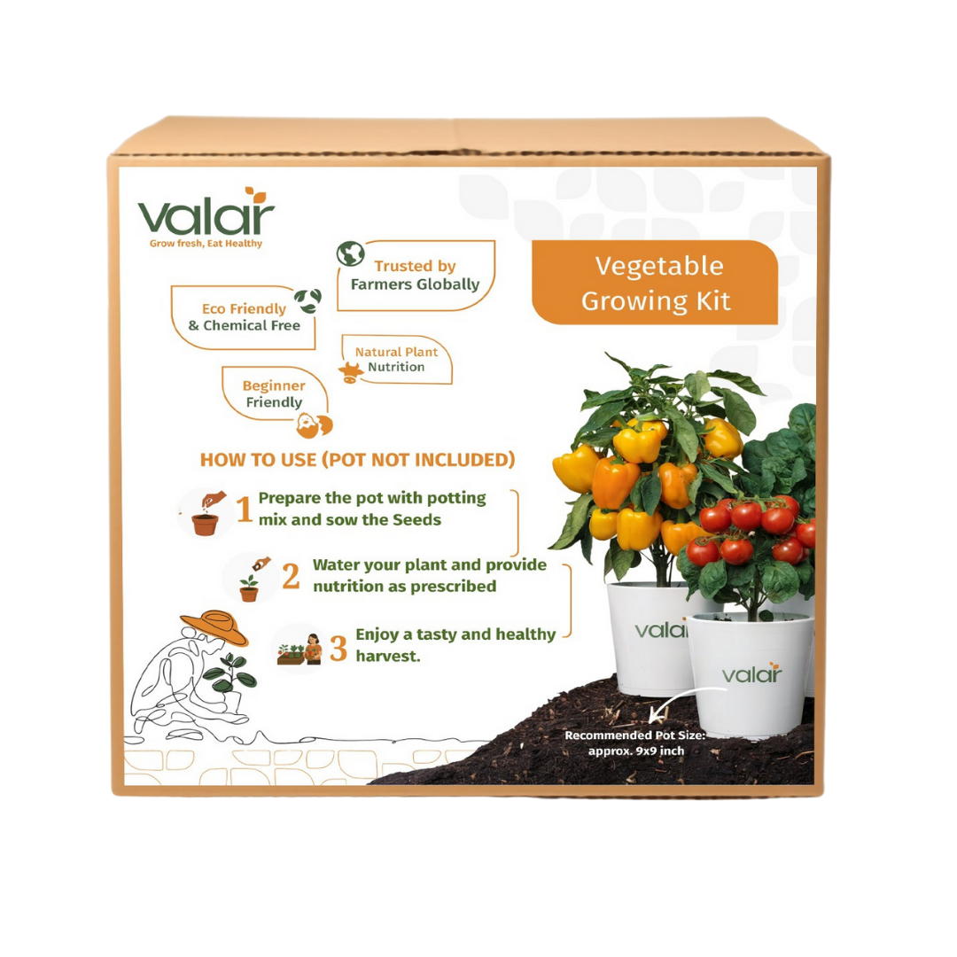 🌱 Valar Basil Growing Kit | All-in-One Home Gardening Set 🌿 (Pack of 1 - Big) | Reusable Pot + Organic Seeds + Bio-Fertilizers