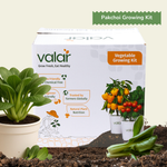 DIY Organic PakChoi Grow Kit