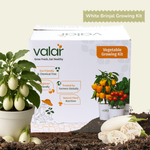 DIY Organic White Brinjal Grow Kit