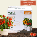 DIY Organic Cherry Tomato Grow Kit