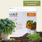 DIY Organic Bush French Beans Grow Kit