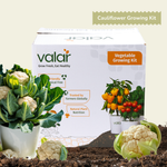 DIY Organic Cauliflower Grow Kit
