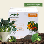 DIY Organic Broccoli Grow Kit