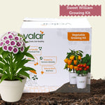 DIY Sweet William Grow Kit