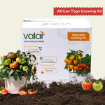 DIY African Togo Tomato Grow Kit