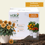 DIY Sunflower Grow Kit
