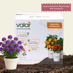 DIY Alyssum Maritimum "Royal" Carpet Blue Grow Kit