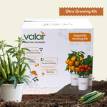 DIY Organic Okra Grow Kit
