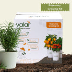 DIY Rosemary Grow Kit