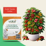 Organic Exotic Tomato Combo Mix (20+ Tomato Varieties)