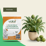Organic Artichoke Seeds