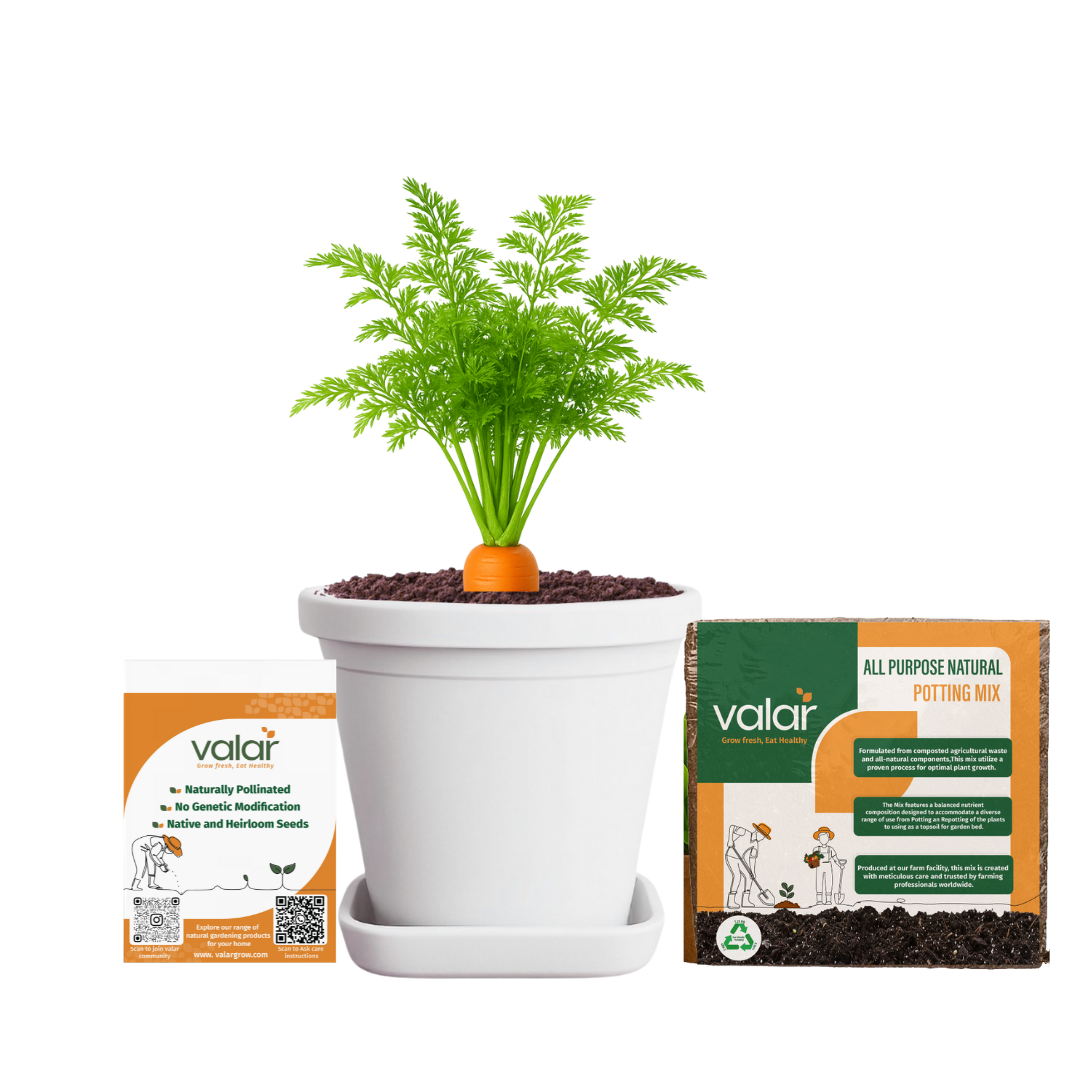 Orange Carrot Seeds + 100% Organic All Purpose Potting Mix perfect for home gardening (5 litres)