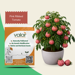 Organic Pink Ribbed Tomato