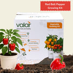 DIY Organic Red Bell Pepper Grow Kit