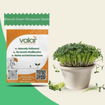 Broccoli Green Microgreen Seeds