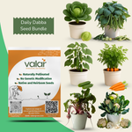 Daily Dhaba Veggies (French Beans, Carrot, Beetroot, Cucumber, Cabbage & Cauliflower)