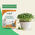 White Radish Microgreen Seeds