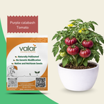 Purple Calabash Tomato Seeds
