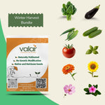 Pack of 10 January sowing Seeds (Spring Harvest)