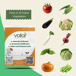 Pack of 10 Indian Vegetables