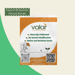 Pack of 30 Summer Harvest Bundle